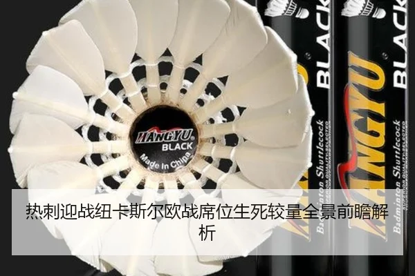 热刺迎战纽卡斯尔欧战席位生死较量全景前瞻解析